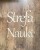napis drewniany Strefa Nauki