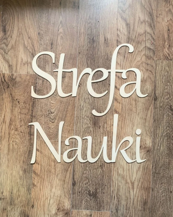 napis drewniany Strefa Nauki